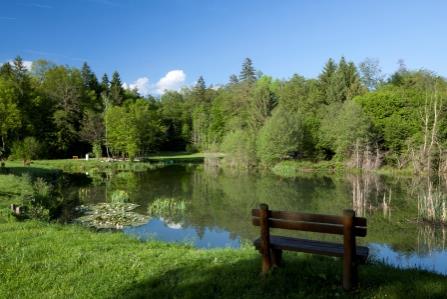 Knobleharjevo 2012 - Fotografski natečaj Občine Škocjan 2012 16